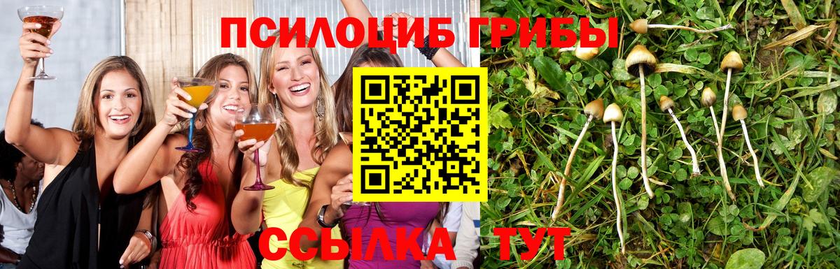 Галлюциногенные грибы MAGIC MUSHROOMS Павлово