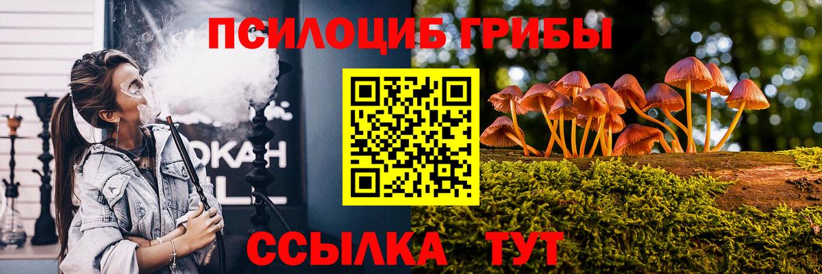 закладка  Псилоцибиновые грибы Psilocybe  Вход с VPN  Павлово 